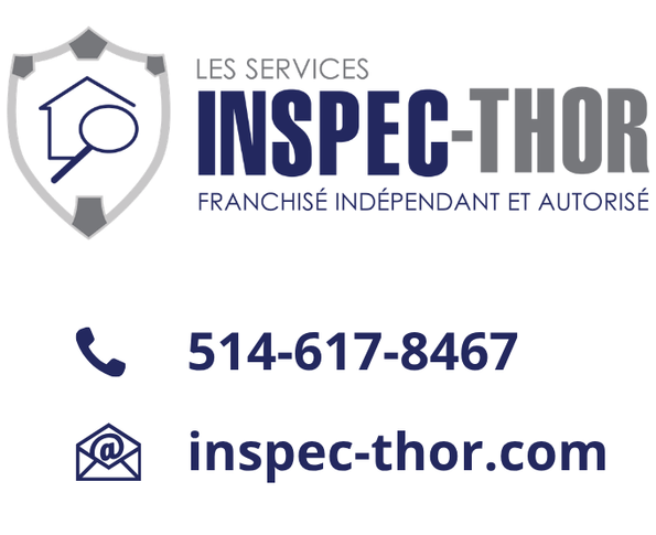 Site Inspect-Thor